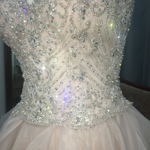 NEW Eddy K Wedding Dress, Blush Swarovski Ballgown Princess, Size 10 Reg $4999 - Picture 10 of 11